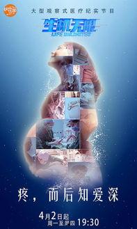 国产无限看,探索中国影视产业的无限可能